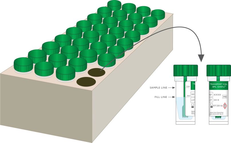 Probówki transportowe