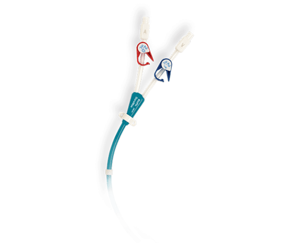 Cewnik do hemodializy BioFlo® DuraMax™