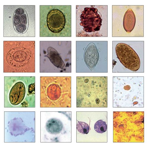 Materiały edukacyjne